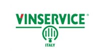 vinservice